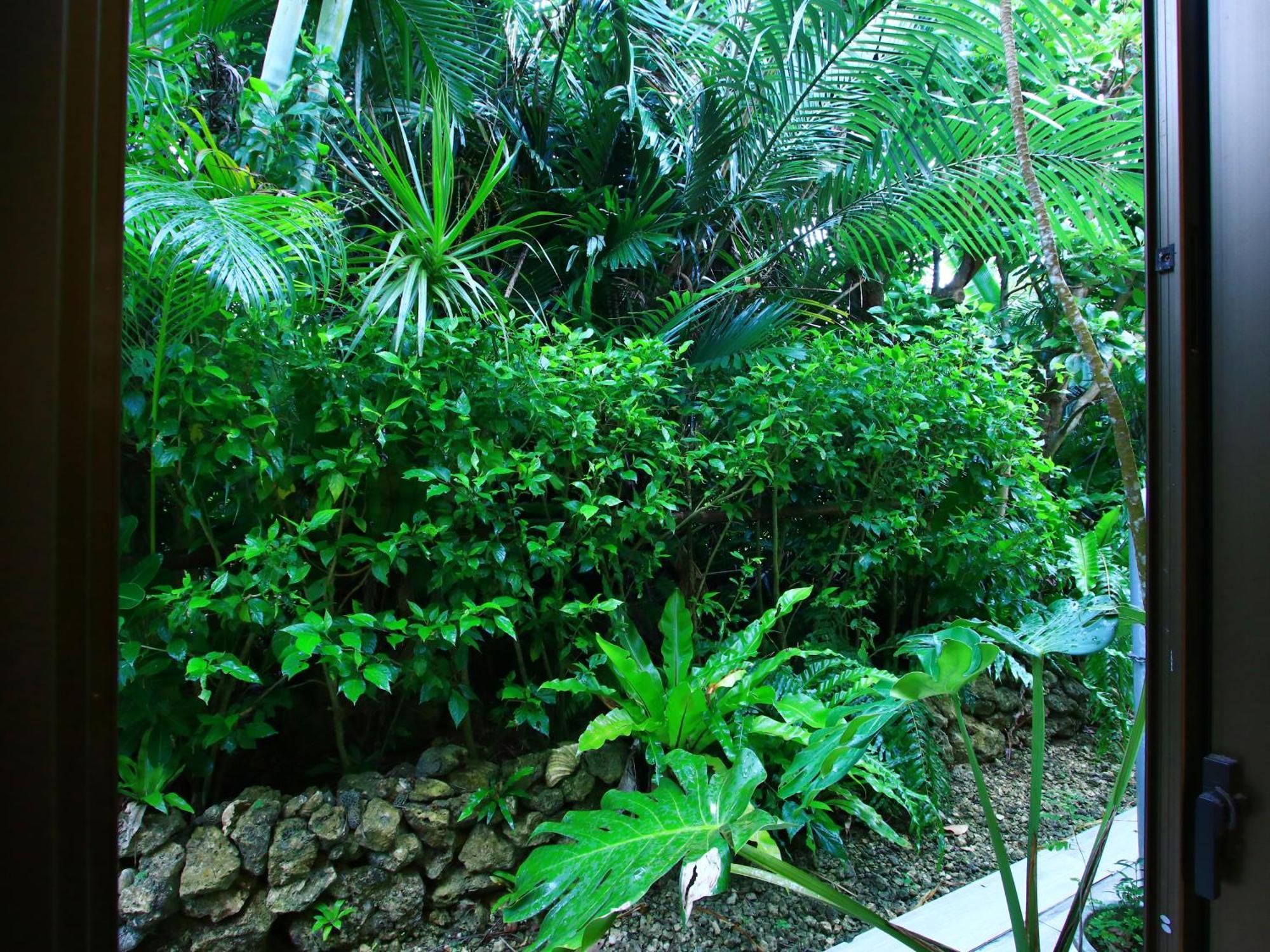 Kachibai Villa Ishigaki  Exterior photo